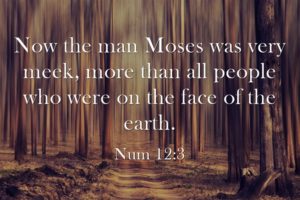 Now-the-man-Moses-was