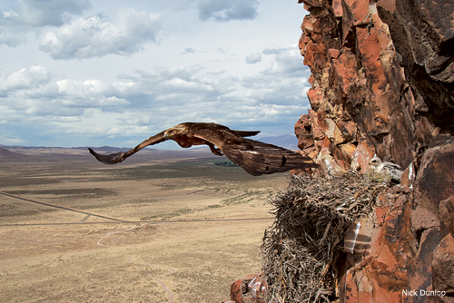 The Eagle’s Nest