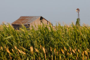 Old-Barn-Corn-Crop-and-Windmill