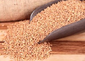 Bushel of wheat