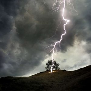 lightning strikes tree