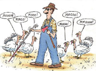 Thanksgiving Day Humor